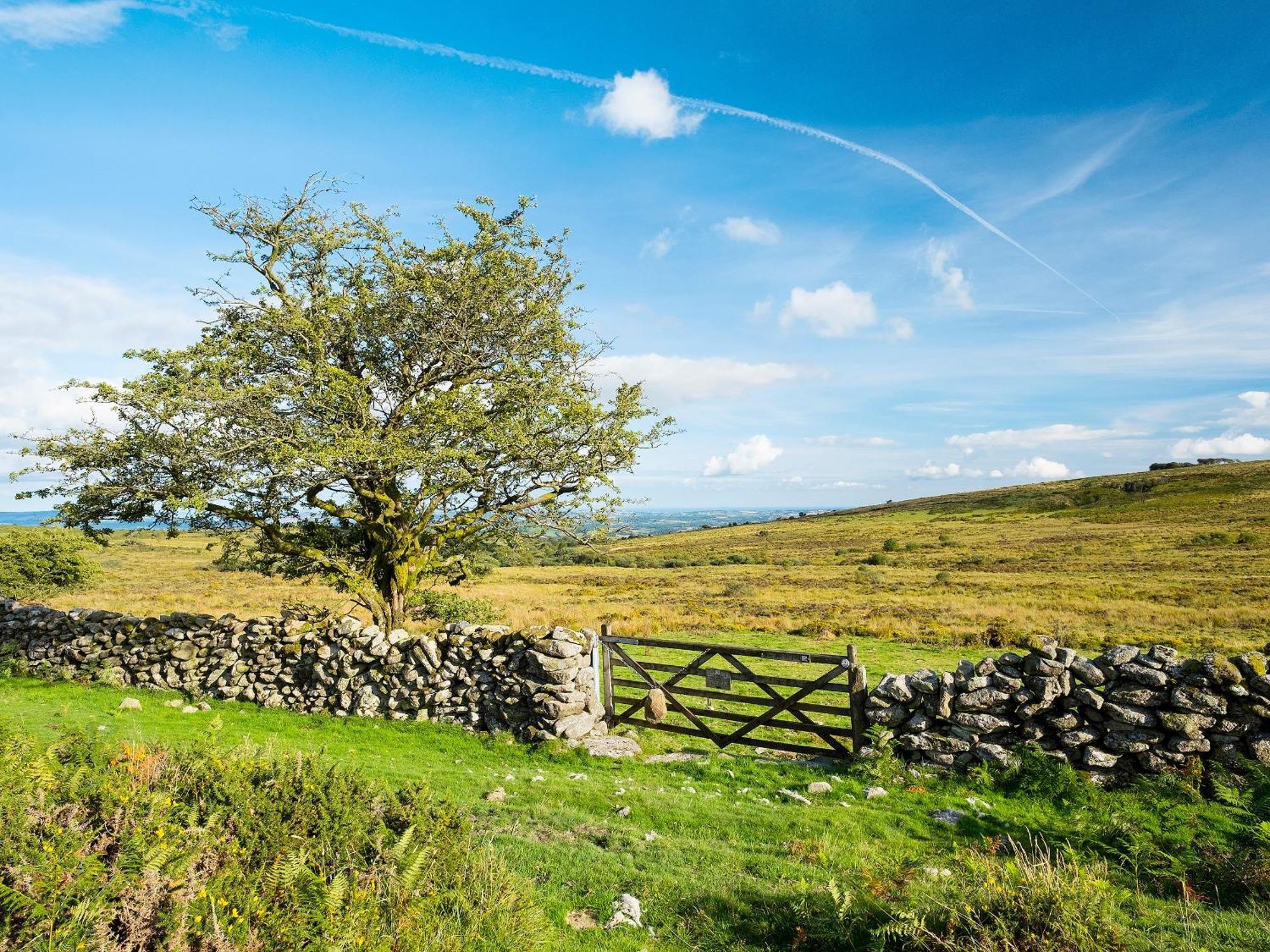 Valley Lodge 2 Callington Εξωτερικό φωτογραφία